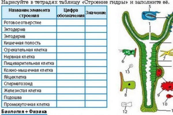 Восстановить доступ к кракену